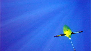 Using An Undersea Glider To Record a Terabyte of Whale Noises